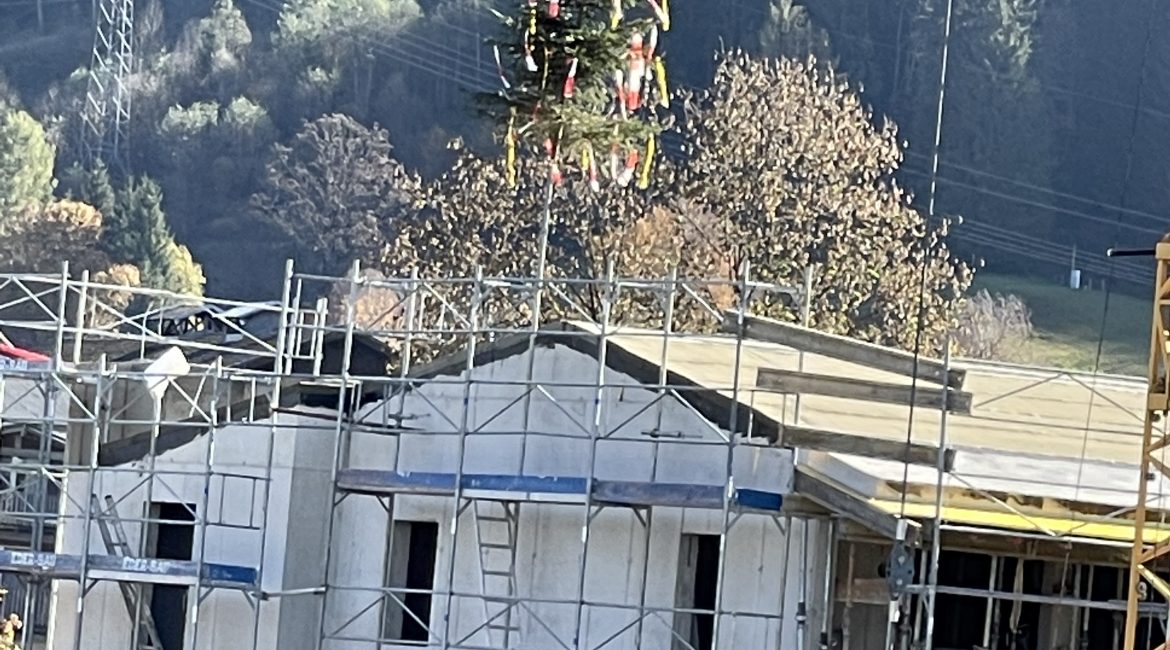 Christmas Trees in Salzburg