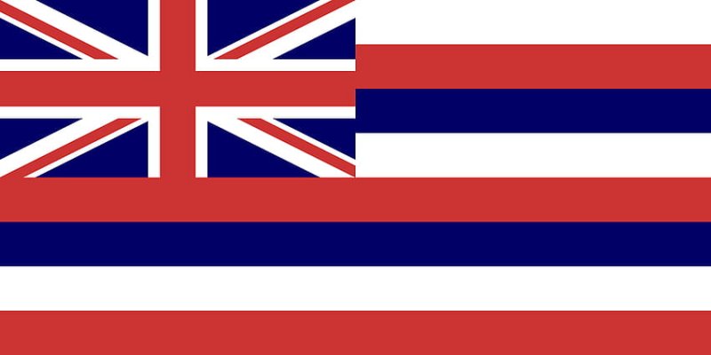 Hawaiian Flag Andrej Djordjevitch